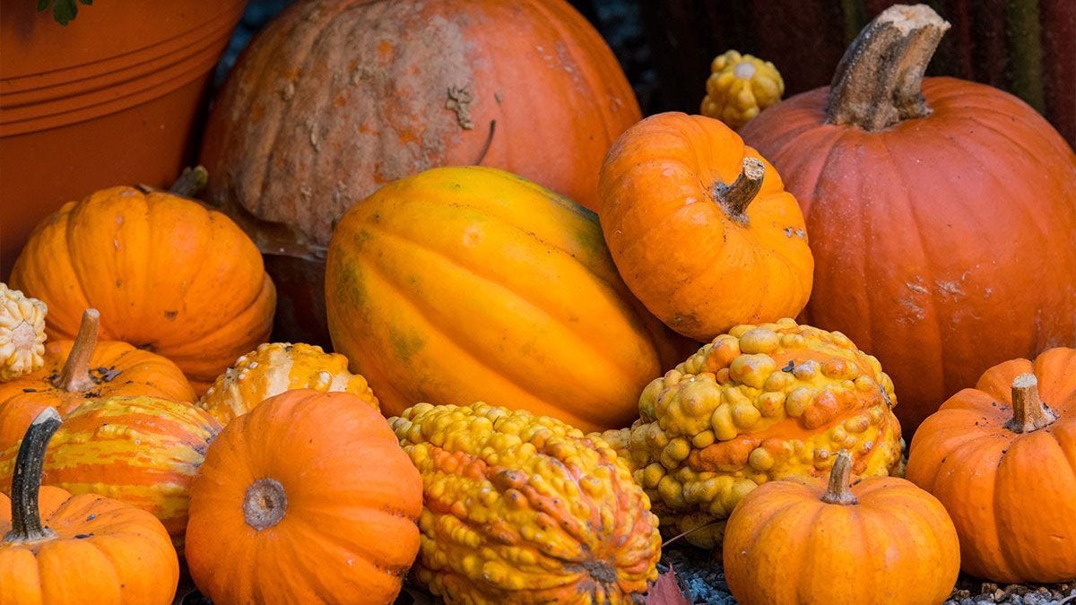 Pumpkin, Spice and Baking Makes Nice
