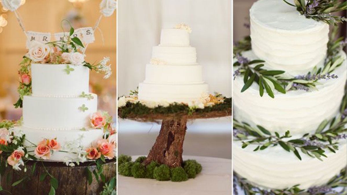 The latest cake and cake decorating news